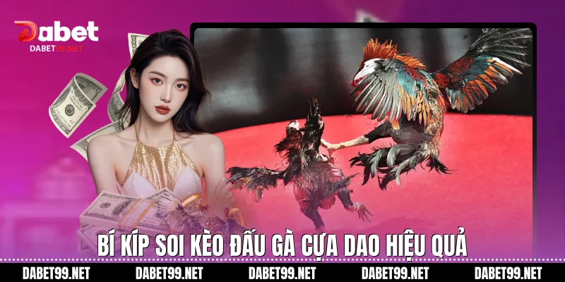 Bí kíp soi kèo đấu gà cựa dao hiệu quả