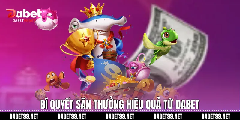 Bí quyết săn thưởng hiệu quả từ DABET