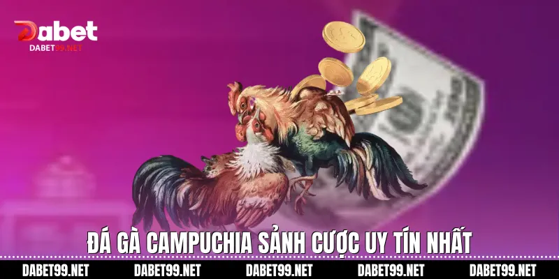 Đá gà Campuchia - Sảnh cược uy tín nhất