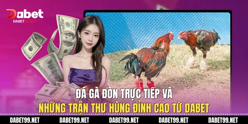 Đá Gà Đòn Trực Tiếp Và Những Trận Thư Hùng Đỉnh Cao Từ DABET