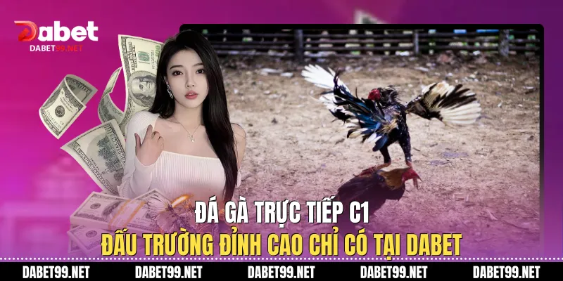 Đá Gà Trực Tiếp C1: Đấu Trường Đỉnh Cao Chỉ Có Tại DABET