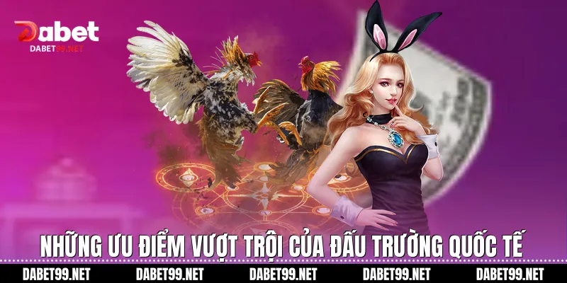 Những ưu điểm vượt trội của đấu trường quốc tế